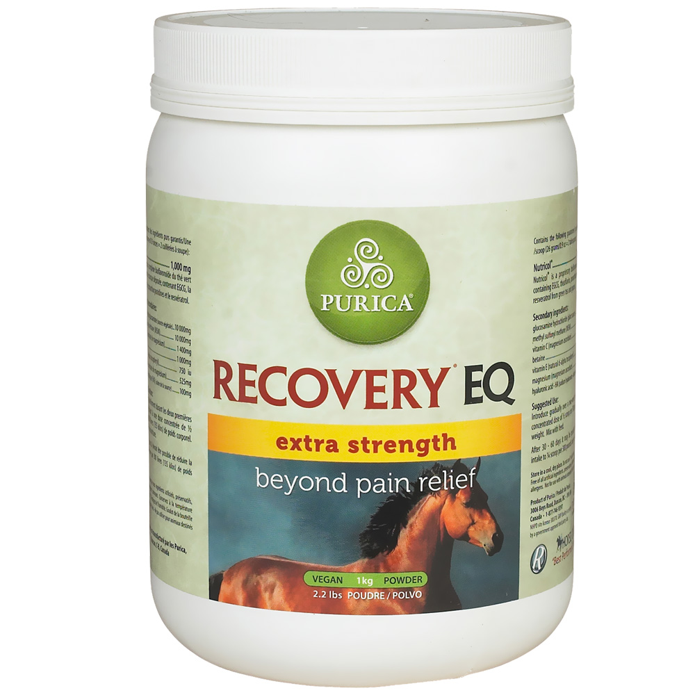 RECOVERYEQHA2