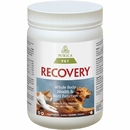Recovery SA Powder - 2.2 lb
