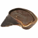 Redbarn Beef Hooves (10 pack)