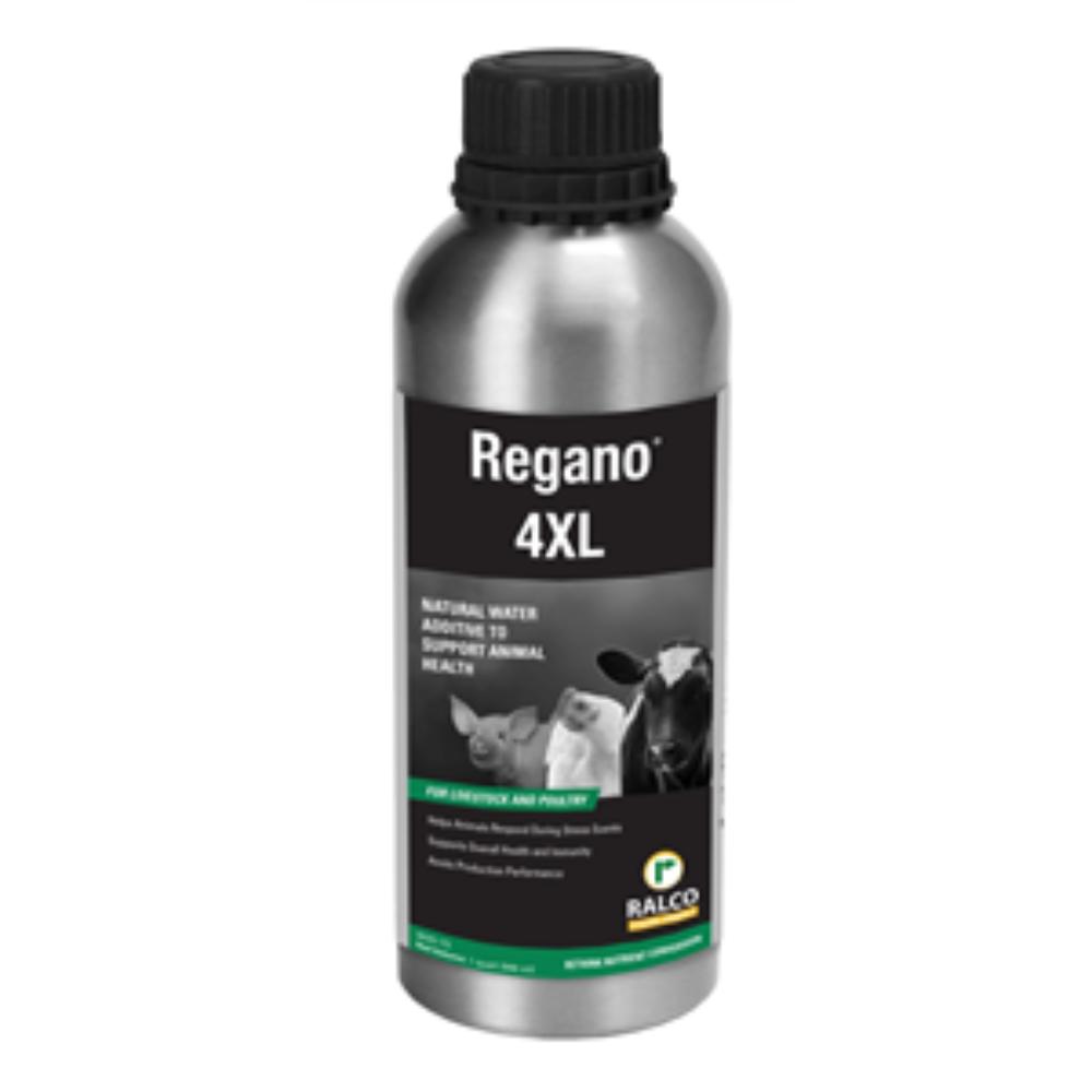REGANO-4X-INTAKE-FLAVORING-1QT