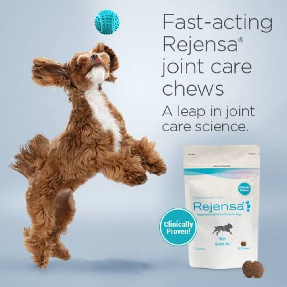 REJENSA-JOINT-CARE-CHEWS-FOR-DOGS-16-COUNT