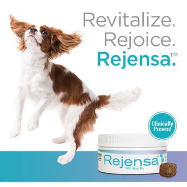 REJENSA-JOINT-CARE-CHEWS-FOR-DOGS-60-COUNT