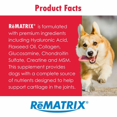 REMATRIX240