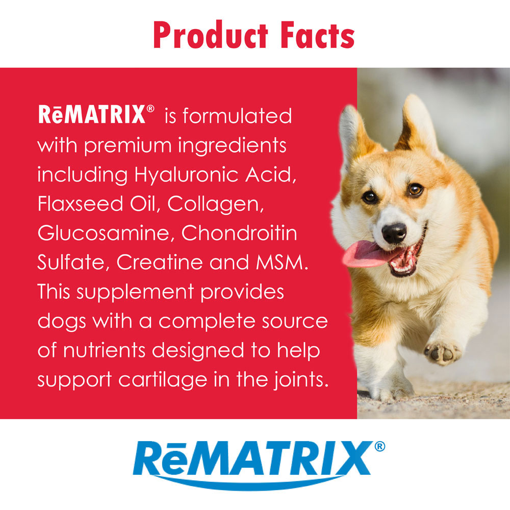 REMATRIX240