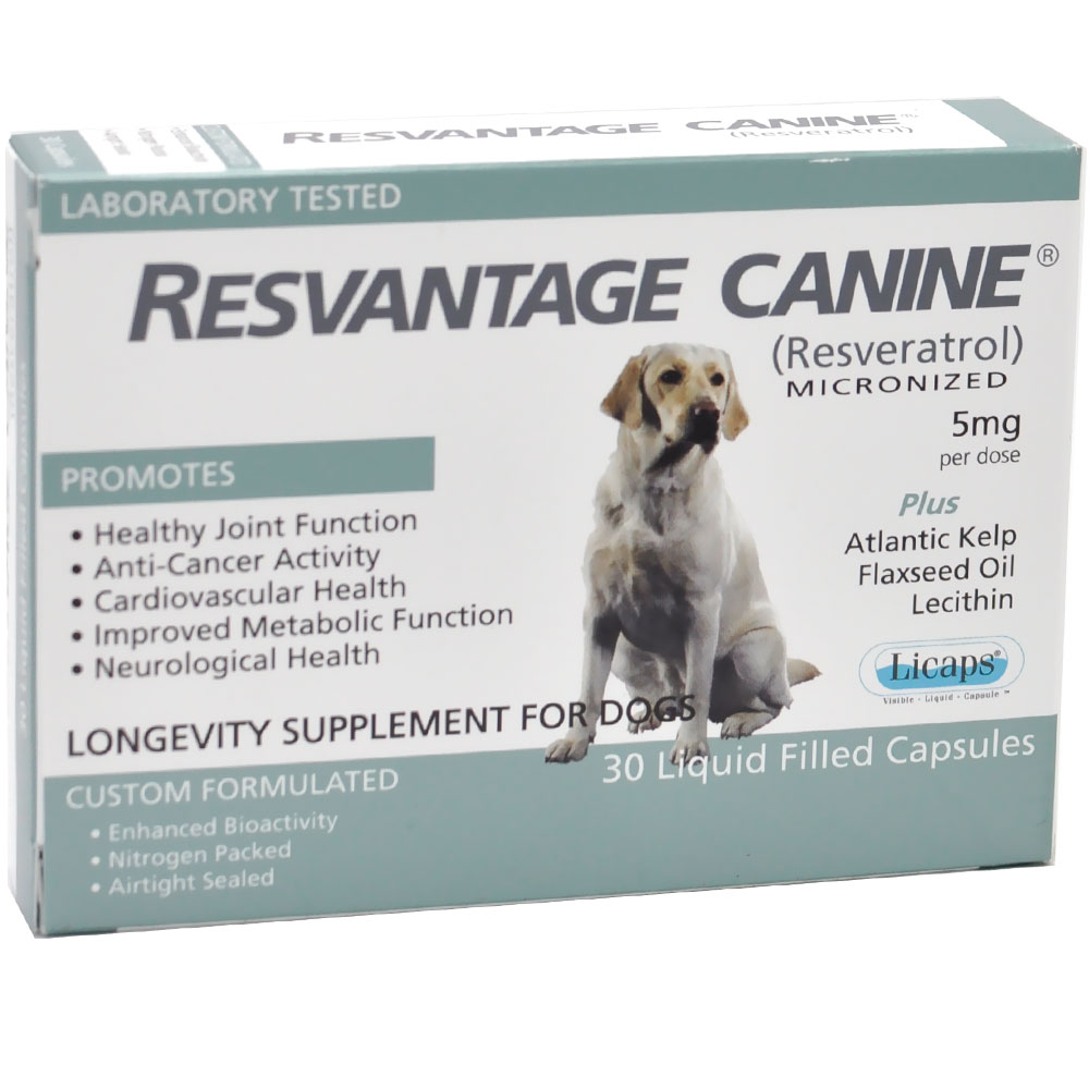 RESVANTAGE-CANINE-30-CAPSULES