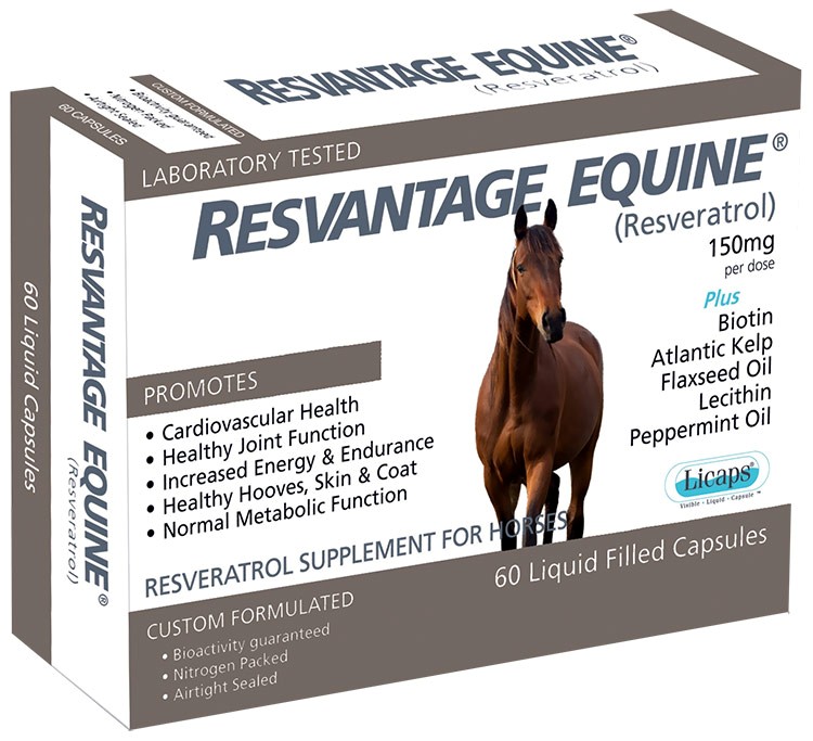 Resvantage Equine