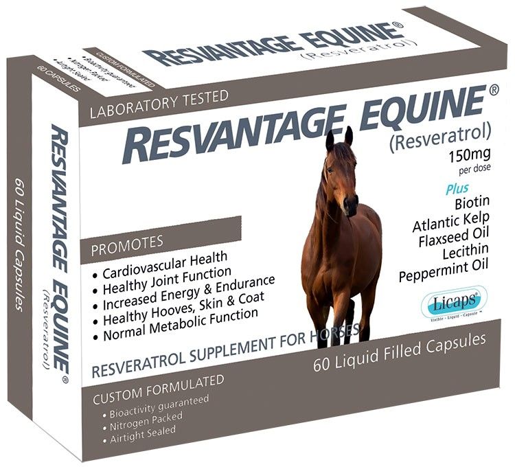 RESVANTAGE-HORSE