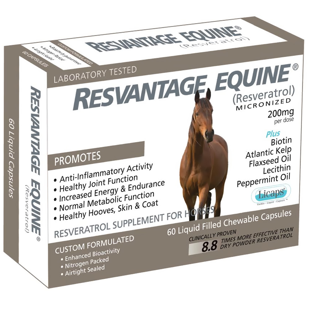 RESVANTAGE-EQUINE-60-CAPSULES