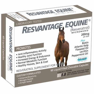 RESVANTAGE-EQUINE-60-CAPSULES