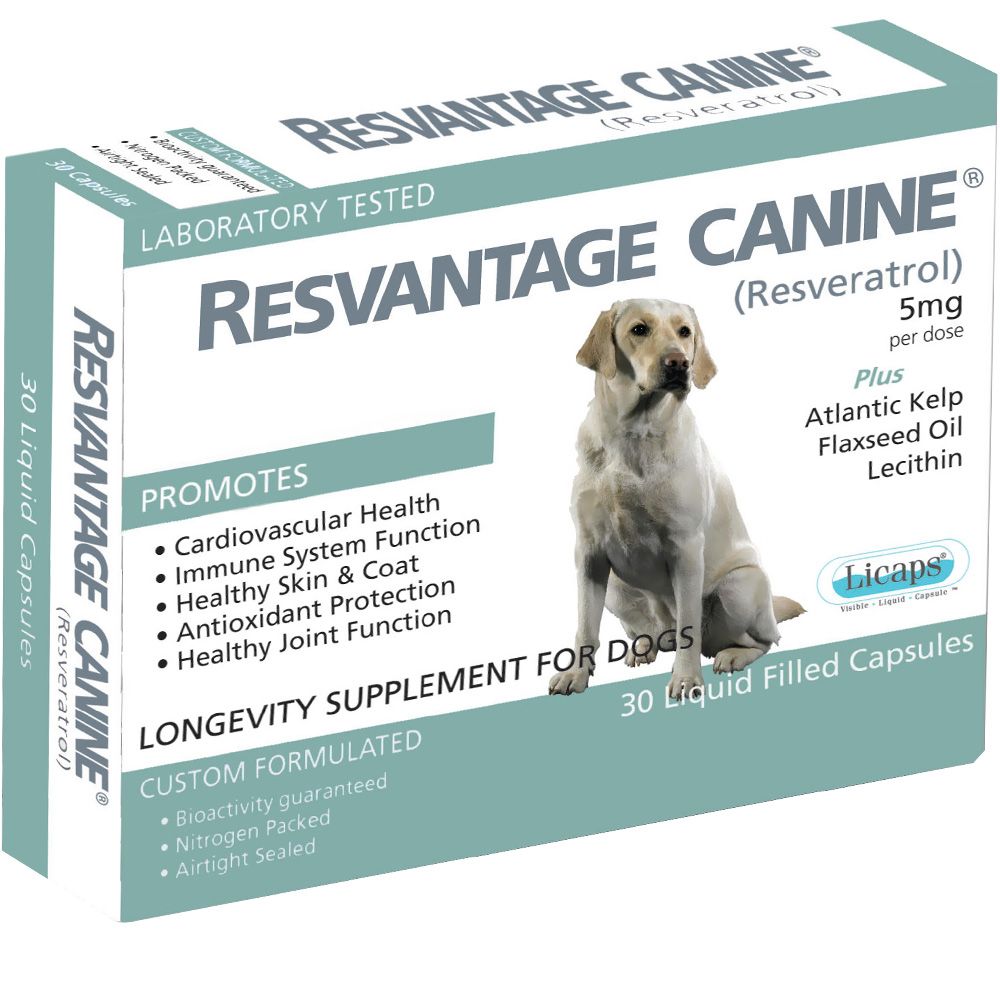 RESVANTAGE-DOGSCATS