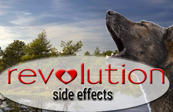 Revolution for Dogs Side Effects