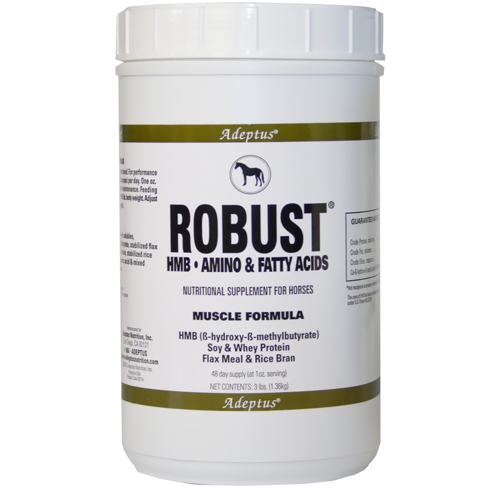 Robust Muscle & Stamina & Recovery for Horses