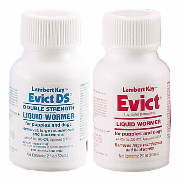 Roundworms | Pyrantel Pamoate | EntirelyPets