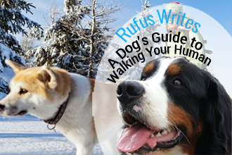 Rufus Writes: A Dog's Guide to Walking Your Human