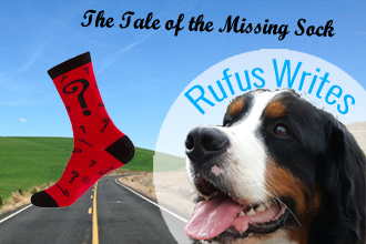 Rufus Writes: The Tale of the Missing Sock