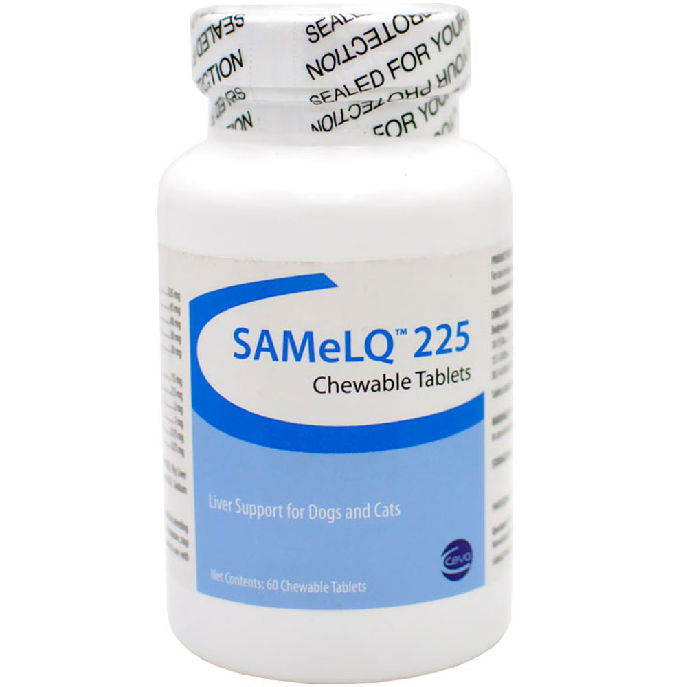 SADENOSYL2256