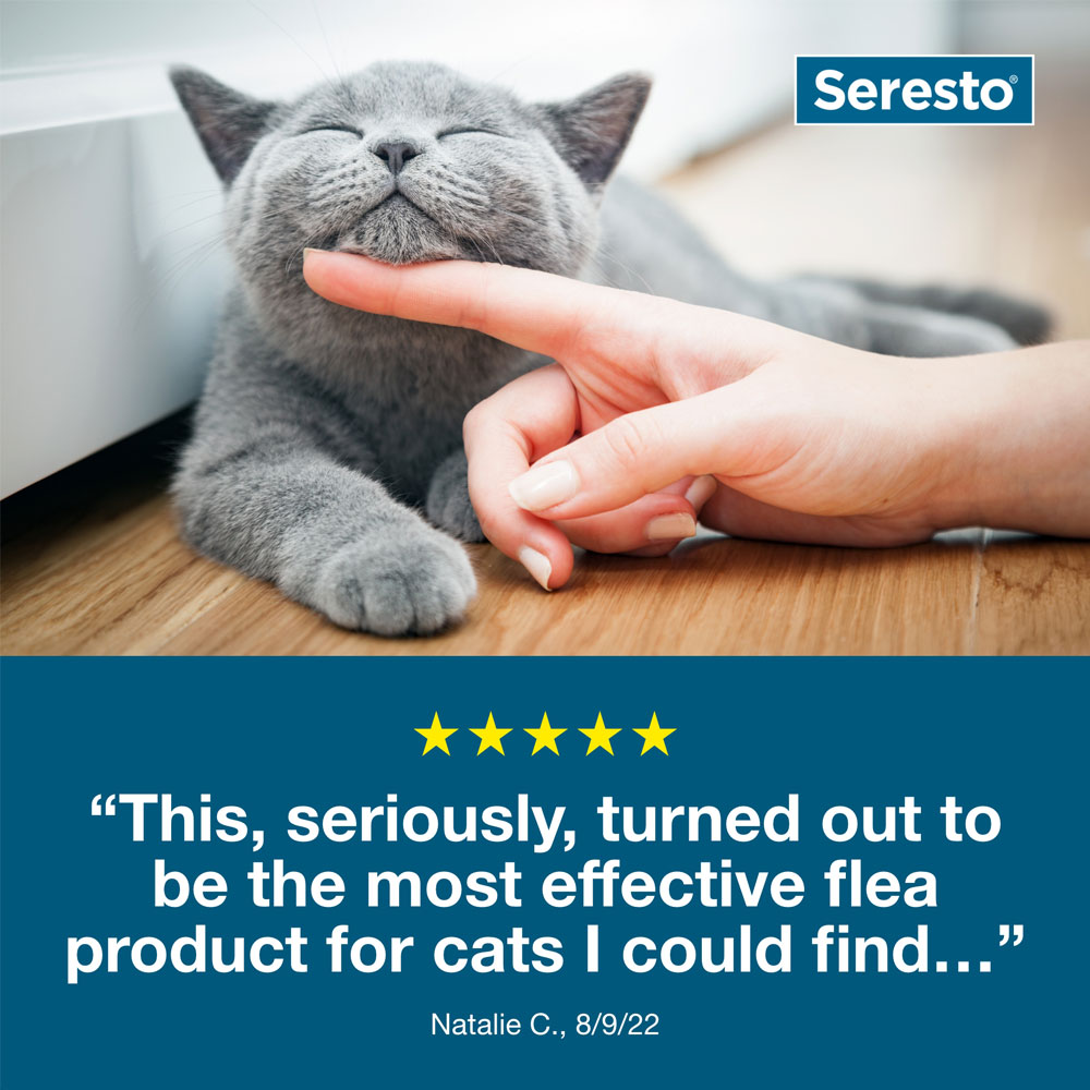 Seresto Flea & Tick Collar for Cats On Sale EntirelyPets