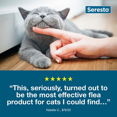 SERESTO-CATS-TAPEWORM