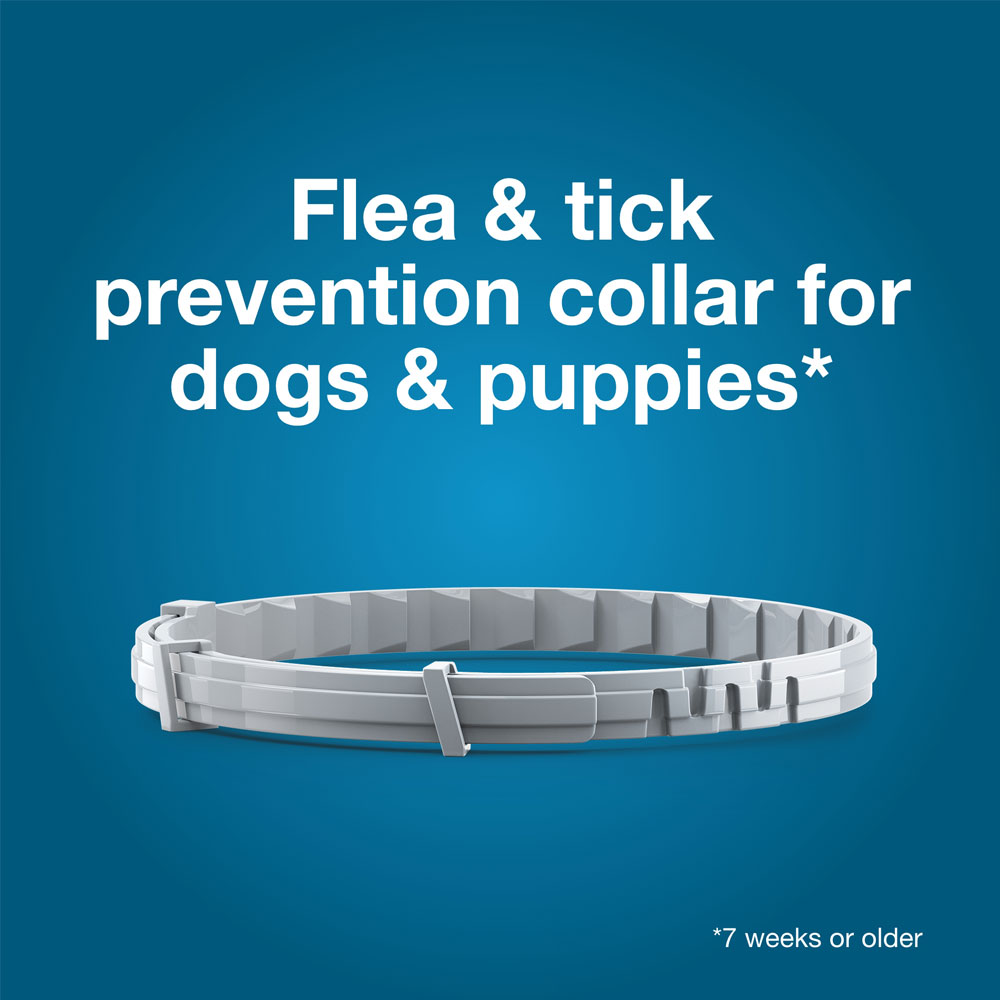 Seresto Flea & Tick Collar for Large Dogs Over 18 lbs On Sale