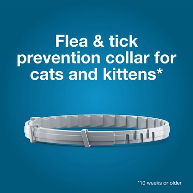 seresto-gray-flea-tick-collar