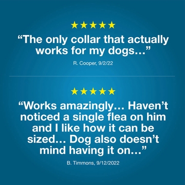 SERESTO-LARGE-DOGS-3-PACK-TAPEWORM