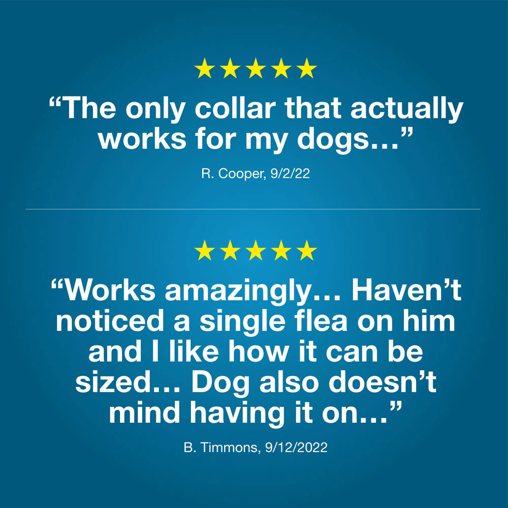 SERESTO-LARGE-DOGS-3-PACK-TAPEWORM