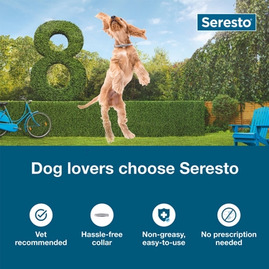 SERESTO-FLEACOLLAR-LARGE-DOGS-6-PACK