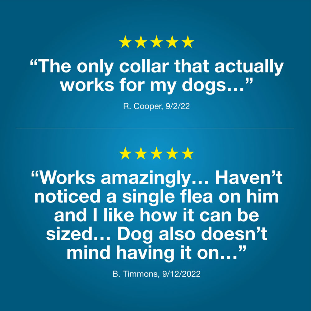 SERESTO-FLEACOLLAR-LARGE-DOGS-6-PACK