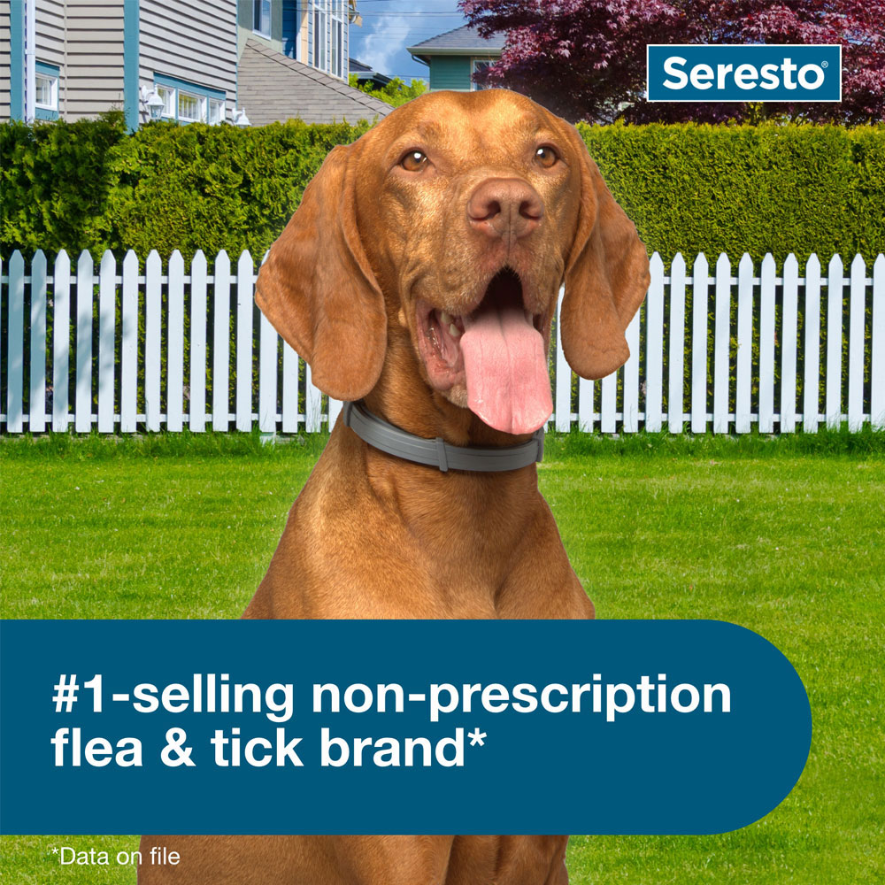 SERESTO-LARGE-DOGS-6-PACK-TAPEWORM