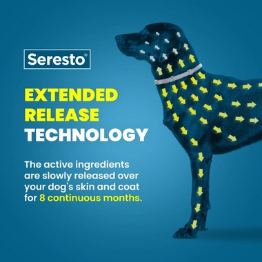 SERESTO-FLEACOLLAR-SMALL-DOGS-2-PACK