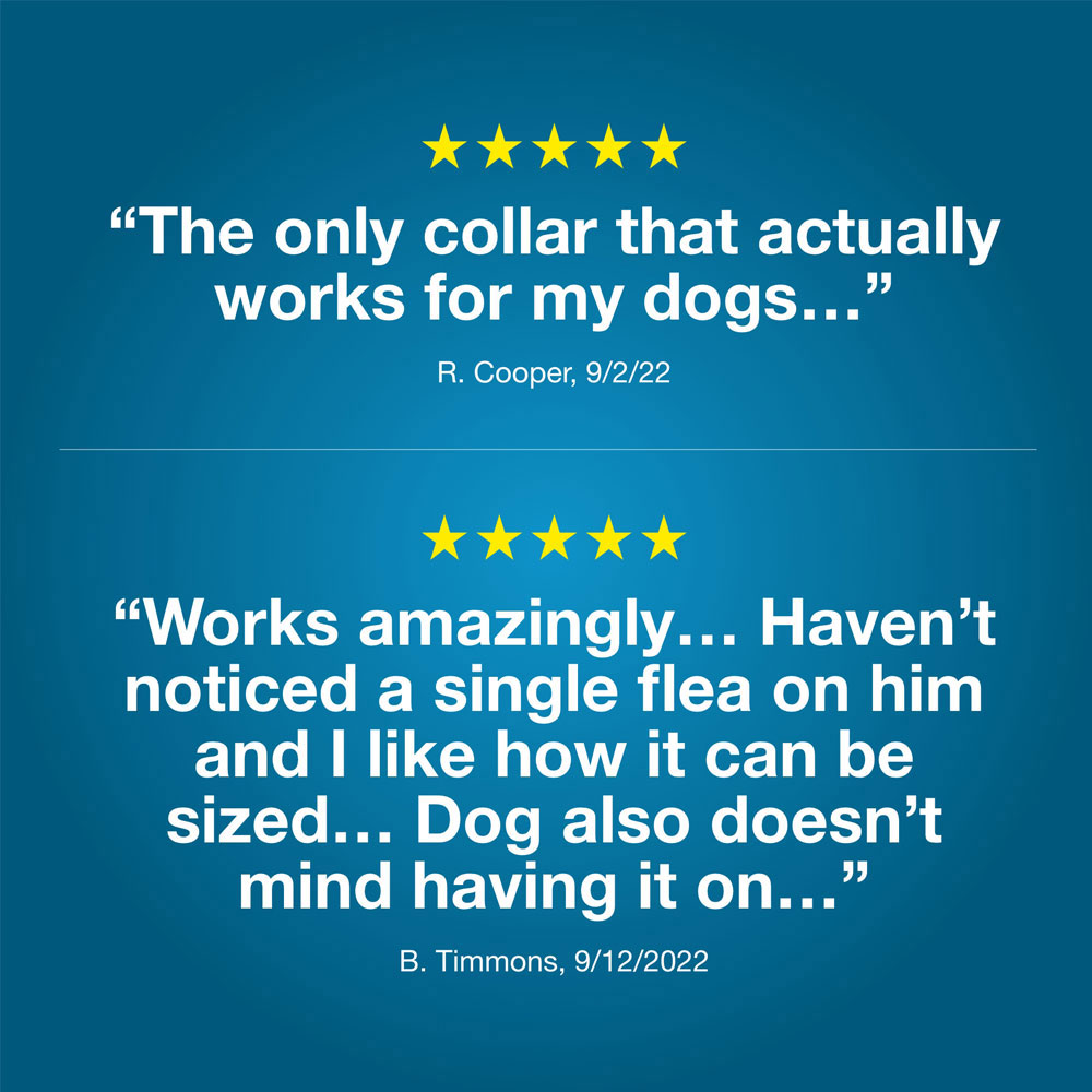 SERESTO-SMALL-DOGS-3-PACK-TAPEWORM