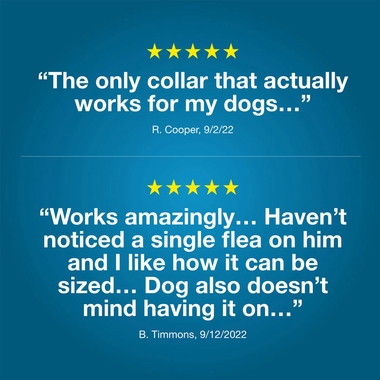 SERESTO-SMALL-DOGS-6-PACK-TAPEWORM