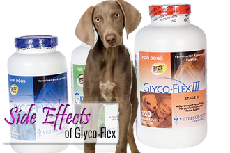 Side Effects of GlycoFlex