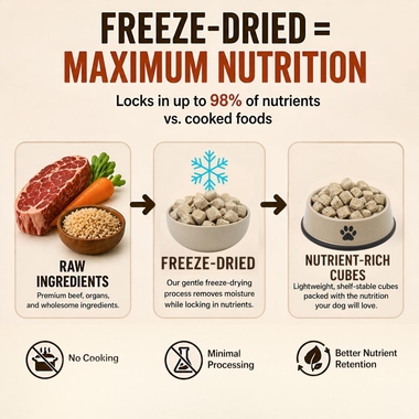 SIMPLY-WILD-FREEZE-DRIED-DOG-FOOD-BEEF-RECIPE-1LB