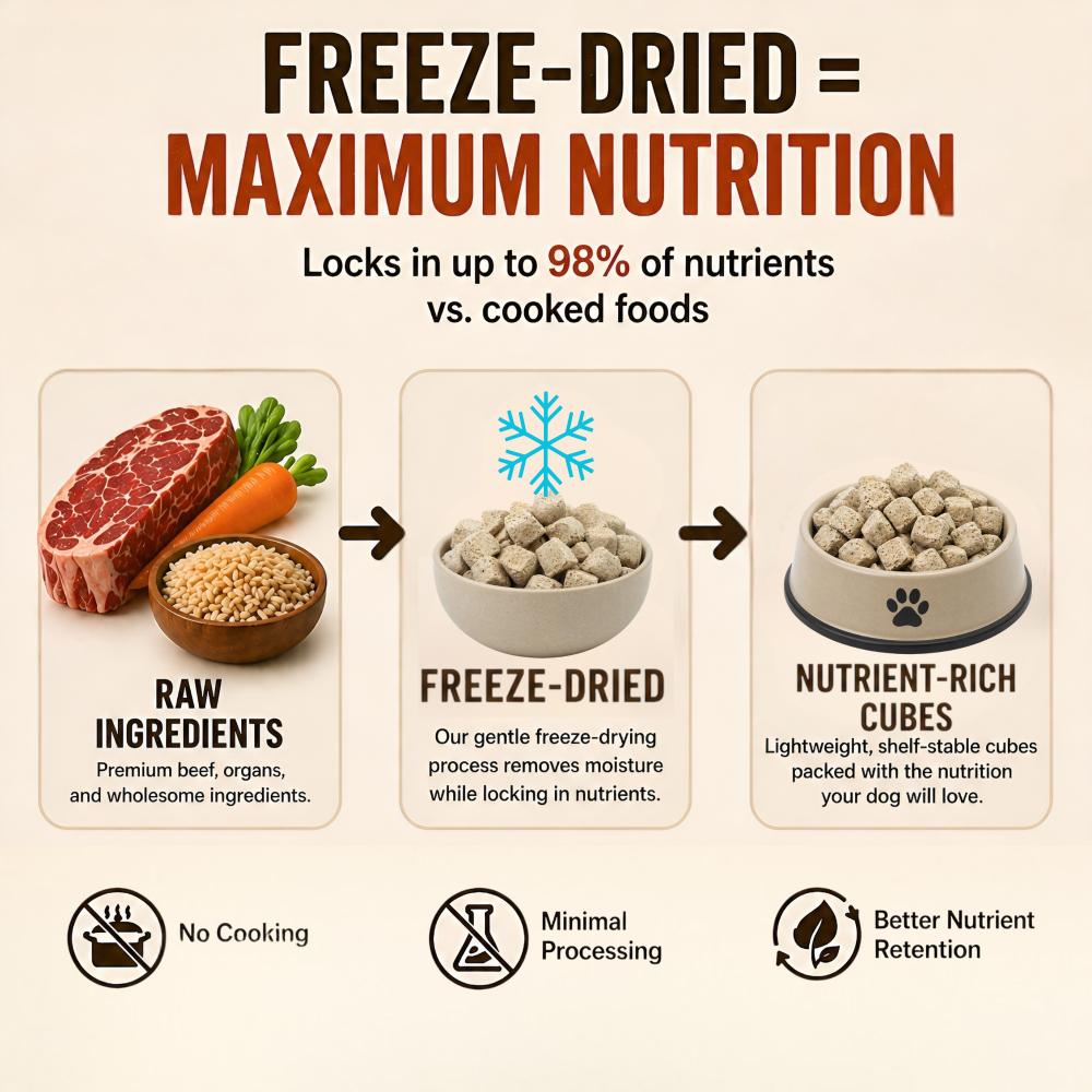 SIMPLY-WILD-FREEZE-DRIED-DOG-FOOD-BEEF-RECIPE-1LB