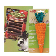 Small Pet Dental Care