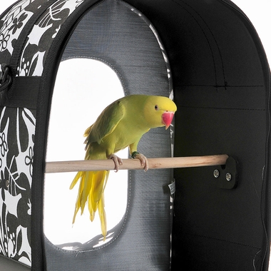 SOFT-SIDED-TRAVEL-CARRIER-GREEN-14-5X10
