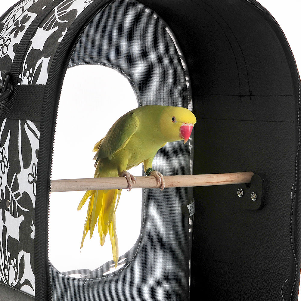 SOFT-SIDED-TRAVEL-CARRIER-GREEN-14-5X10