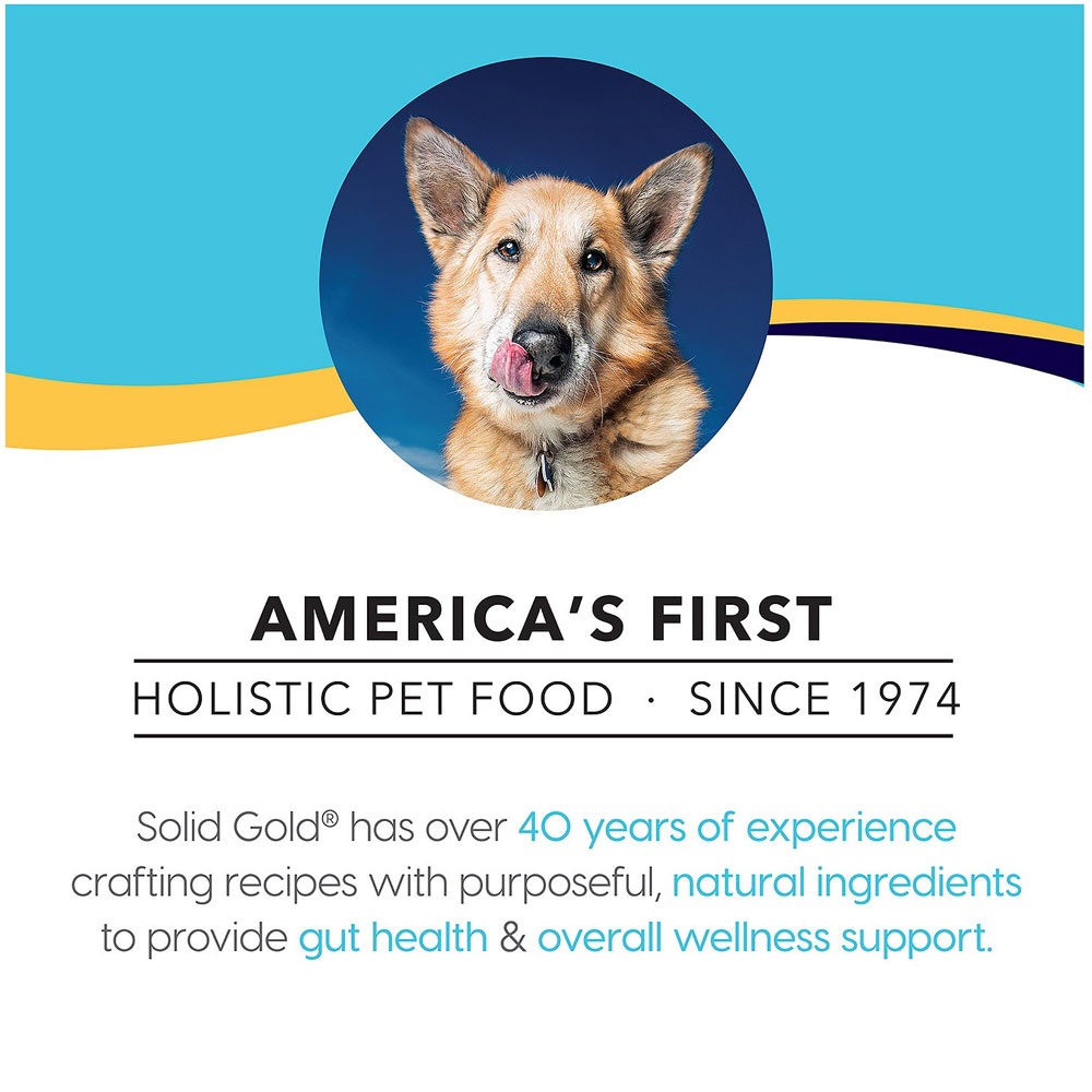 Solid Gold Leaping Waters Sensitive Stomach GrainFree Cold Water Salmon & Vegetable Dry Dog