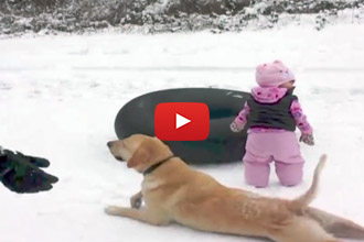 Somebody Wants To Be The Center Of Attention! 