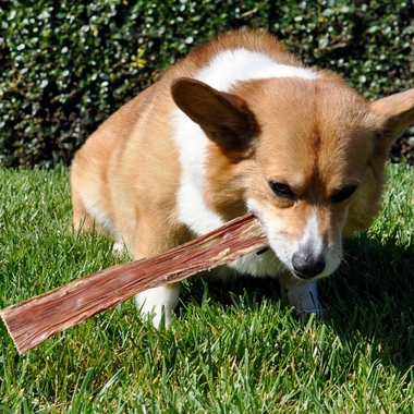 SPIZZLEGULLETHUNKS-72PK