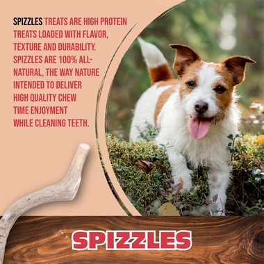 SPIZZLESTICKS-72PK