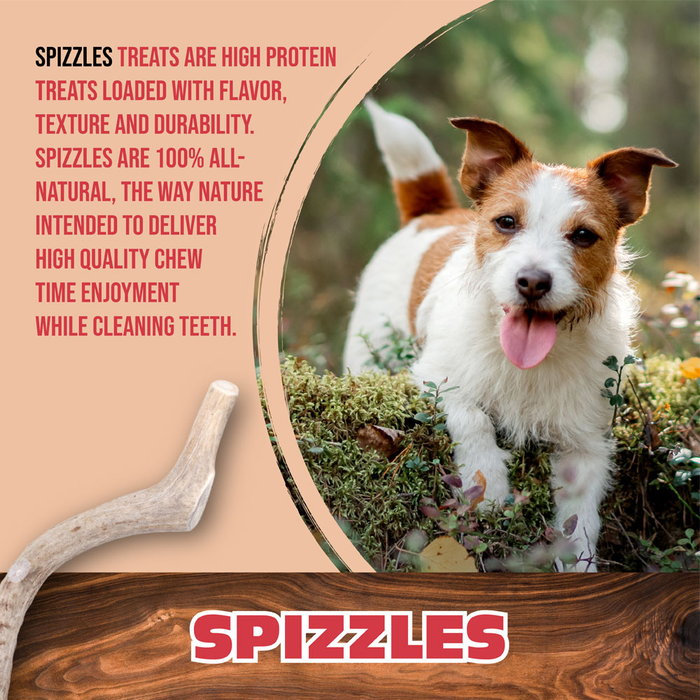 SPIZZLESTICKS-72PK