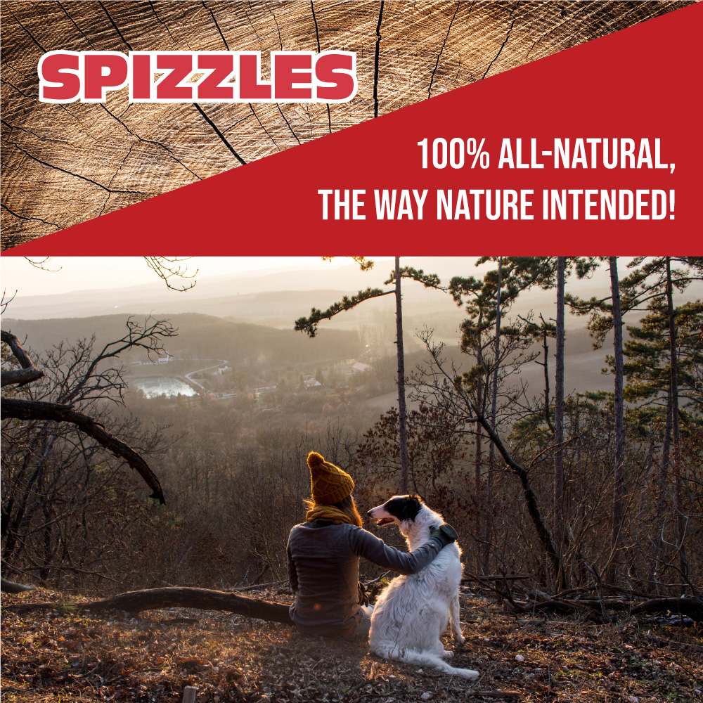 SPIZZLES-COW-HOOVES-MEDIUM-LARGE-20-PK