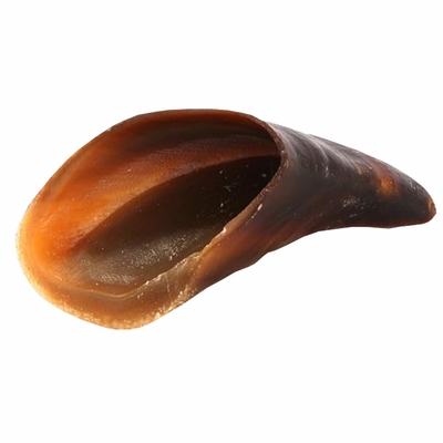 SPIZZLES-COW-HOOVES-MEDIUM-LARGE