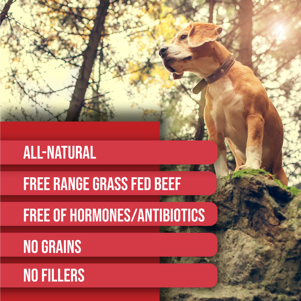 SPIZZLES-COW-HOOVES-MEDIUM-LARGE