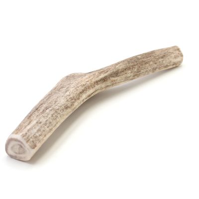 SPIZZLES-DEER-ANTLER-DOG-CHEW-SOLID-MEDIUM