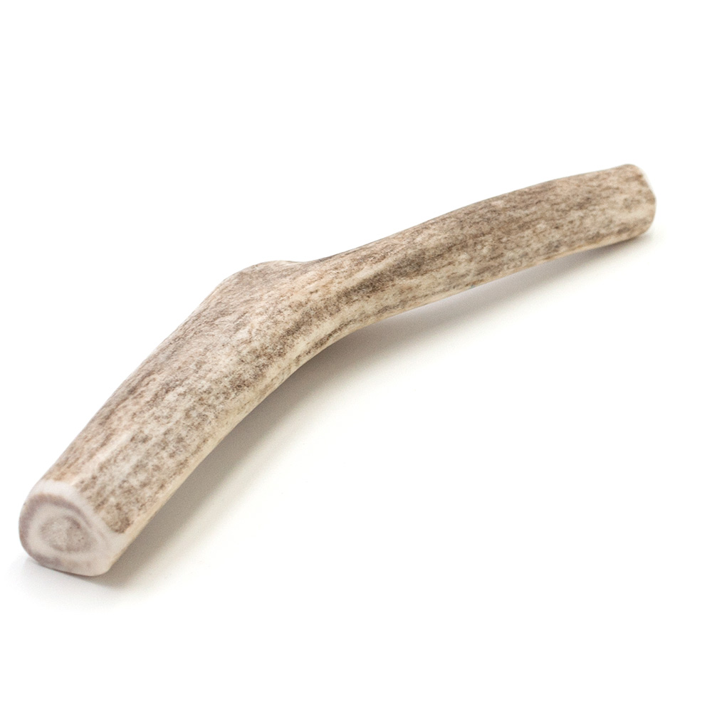 SPIZZLES-DEER-ANTLER-DOG-CHEW-SOLID-MEDIUM