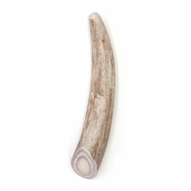 SPIZZLES-DEER-ANTLER-DOG-CHEW-SOLID-SMALL