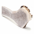 Spizzles Elk Antler Dog Chew - Split (Large) 7"